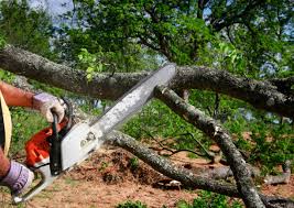 Best Landscape Design and Installation  in Jamul, CA